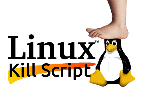 kill a running script bash