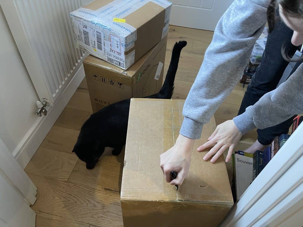 1. Black cat investigating cardboard box with moving tools in a home setting.